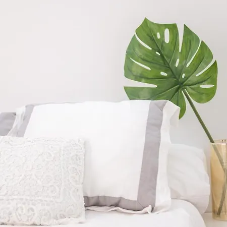 Centre Cruz דירה *