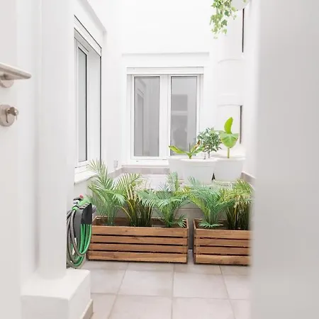 Centre Cruz * סנטה קרוז דה טנריף